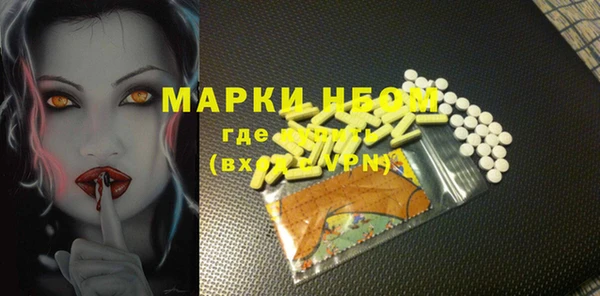 индика Архангельск