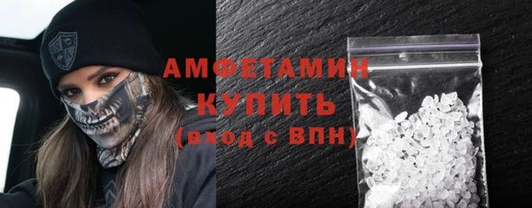 индика Архангельск